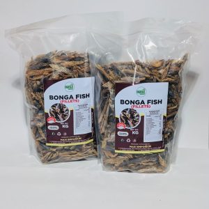 Home bonga fish fillets