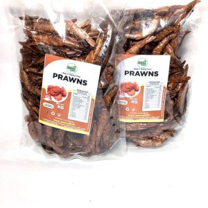 Home big cotonou prawns